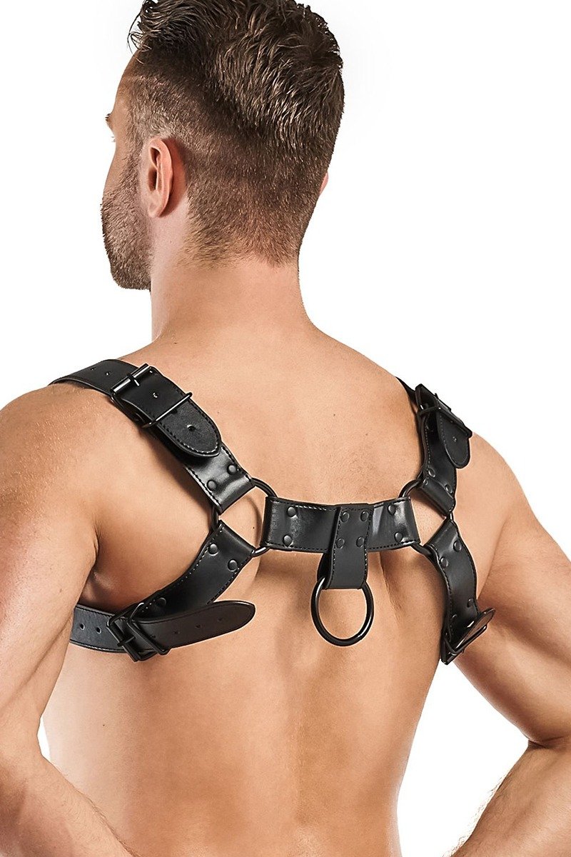 Harnais de bondage Bruno - Bedroom Fantasies – Image 5