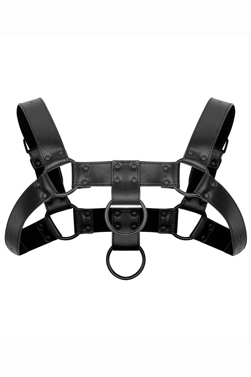 Harnais de bondage Bruno - Bedroom Fantasies – Image 2