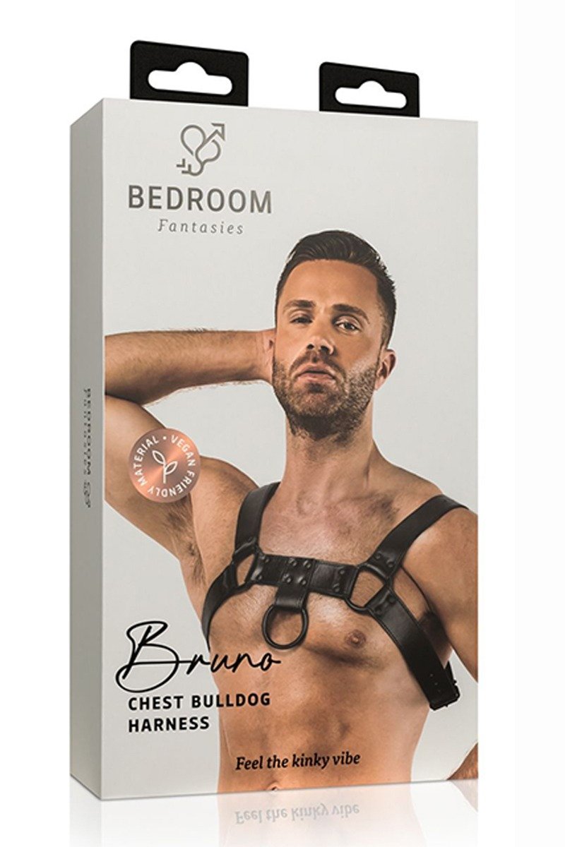 Harnais de bondage Bruno - Bedroom Fantasies – Image 3